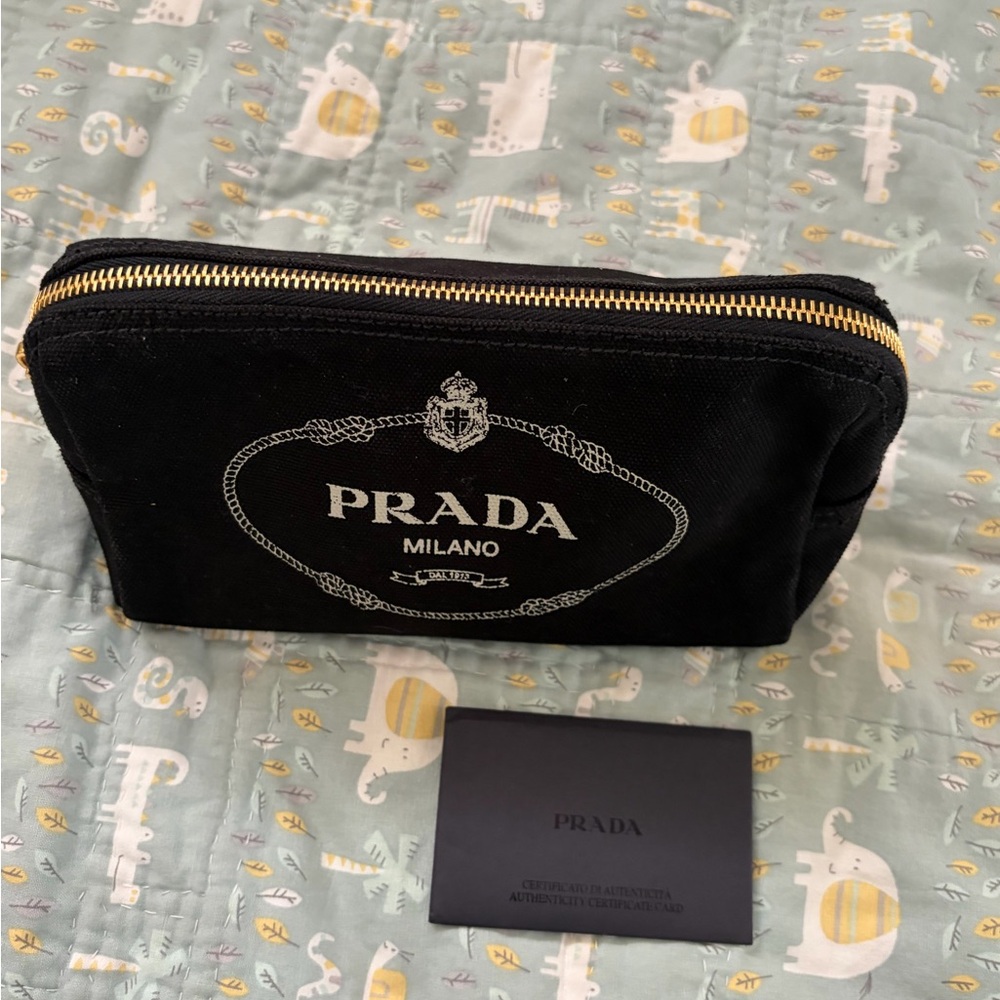 Prada Canapa Pouch (PRICE FIRM)